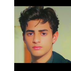 Zain Ali-Freelancer in Islamabad,Pakistan