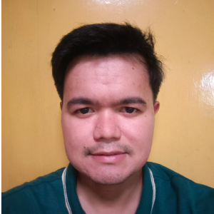 Daryl Cilocilo-Freelancer in Tagbilaran,Philippines