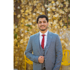 Hawash Essam-Freelancer in Shibin El Kom,Egypt