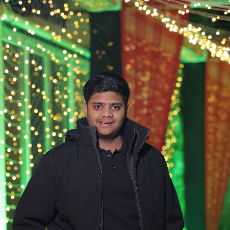 Nishchal Goel-Freelancer in Ghaziabad,India