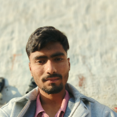 Mujahid Ali-Freelancer in Ludhiana,India