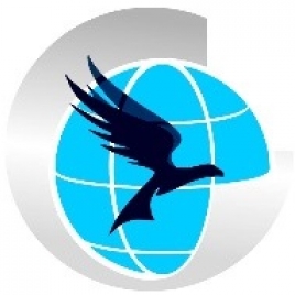 Eagle Infoweb