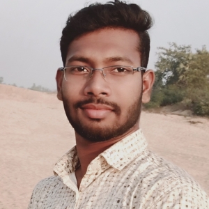 HIMANSHU KARMI-Freelancer in ,India