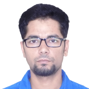 Mohd Irshad Ansari-Freelancer in Jeddah,Saudi Arabia