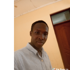 Albright Ombati-Freelancer in Lida Market,Kenya