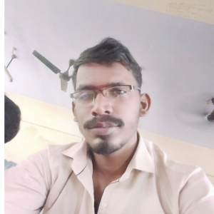 Yadhunanthan P-Freelancer in Mayiladurai,India