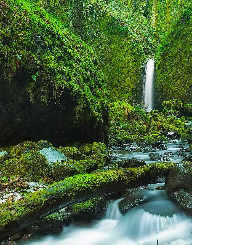 Duut Amos Y-Freelancer in Accra,Ghana