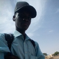 Farouk Mohammed Mustapha-Freelancer in Yola south,Nigeria