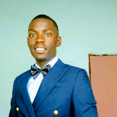 Anotida Anesu Mahamba-Freelancer in Harare,Zimbabwe