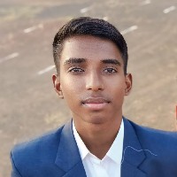 Raviraj Bandgar-Freelancer in Pune Division,India