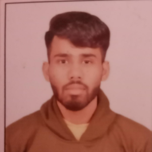 Ritik Valmiki-Freelancer in New Delhi,India