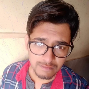 Shahrukh-Freelancer in New Delhi,India