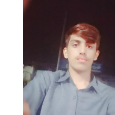 Malik Salman-Freelancer in Faisalabad,Pakistan