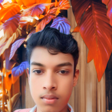 Jahib Khan-Freelancer in Dimla,Bangladesh