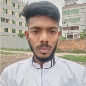 Freelancher Ahmed-Freelancer in Fatullah,Bangladesh