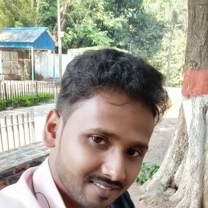 RB BABLU-Freelancer in Sonupura,India