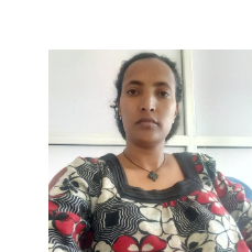 Helen Waltenigus-Freelancer in Addis Ababa,Ethiopia