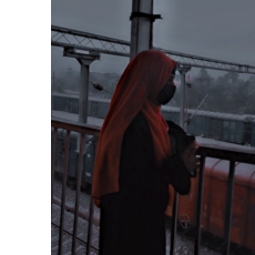 Ayesha Siddiqua-Freelancer in Darbhanga,India