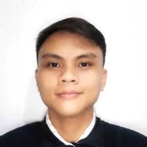 Jesmar Jose Alegarme-Freelancer in OZAMIS CITY,Philippines