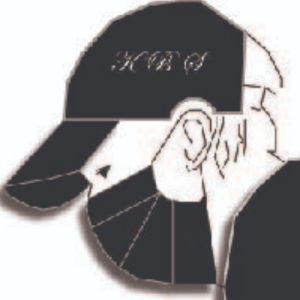 Sakeena Anwar-Freelancer in kotaddu,Pakistan