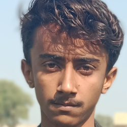 Nawazish Ali Zardari-Freelancer in Karachi,Pakistan