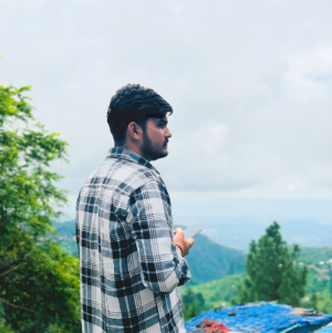 Pk Meel-Freelancer in Gandhinagar,India