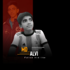 Mohiuddin Abedin Alvi-Freelancer in Chittagong,Bangladesh