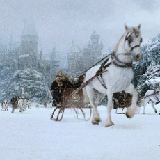 Rahul Patel-Freelancer in Mumbai,India