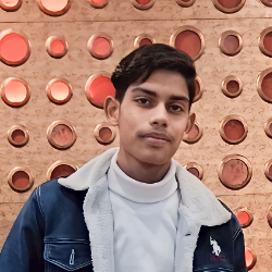 Faiz Khan-Freelancer in Sambhal,India