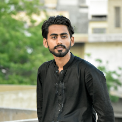 Mr. Artani-Freelancer in Karachi,Pakistan