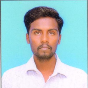 Gopinath N-Freelancer in Chennai,India