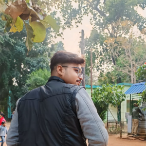 Priyanshu Ganguli-Freelancer in PURBA BURDWAN,India