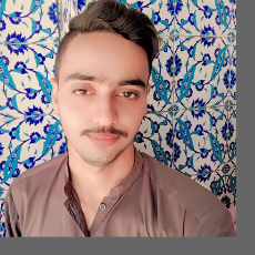 Hasnain Malik-Freelancer in ,Pakistan