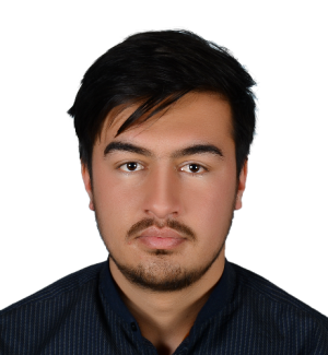 Sayed Qasim Nawid-Freelancer in Kabul,Afghanistan