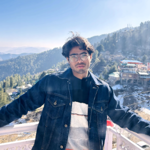 Yaman Thakur-Freelancer in Delhi,India