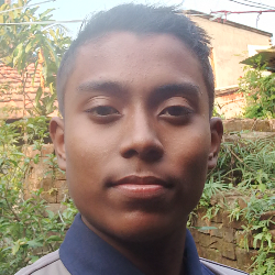 Soham Pal-Freelancer in Howrah,India