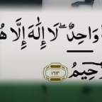 Ali Hassan-Freelancer in Kandu Wala,Pakistan