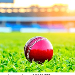 Prince Anthony-Freelancer in Chennai,India