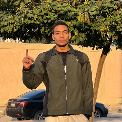 Mohamed Ezzat-Freelancer in Cairo,Egypt