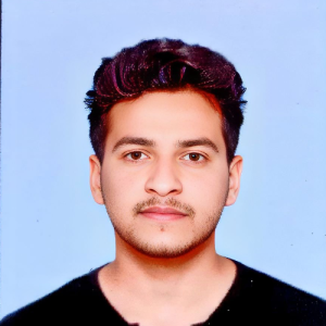 Jaimin Chauhan-Freelancer in Ahmedabad,India