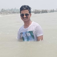 Rajesh Halder-Freelancer in Presidency Division,India