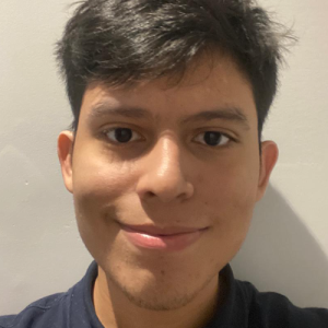 Nestor Santiago Plata Gomez-Freelancer in Villavicencio,Colombia
