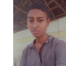 md ashikur rahman shanto-Freelancer in Sharatgonj,Bangladesh
