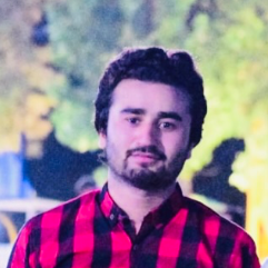 Ahmer Shahzad-Freelancer in Rawalpindi,Pakistan