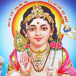 Srirekshana S-Freelancer in Chennai,India