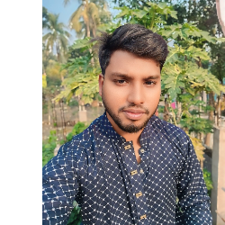 Armanur Rahman-Freelancer in Usd,Bangladesh