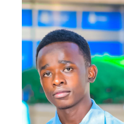 Robinson Ngure-Freelancer in Nairobi,Kenya