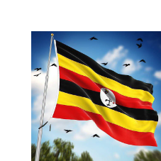 Araphat Kings-Freelancer in Kampala,Uganda