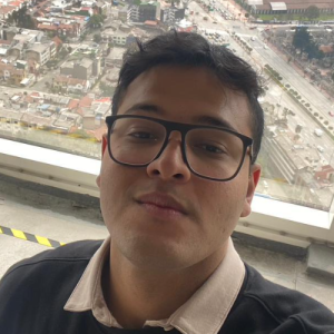 Brayan Meneses-Freelancer in Bogotá,Colombia