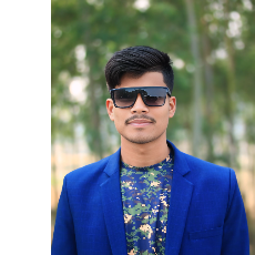 Sobuj Roy-Freelancer in Dhaka,Bangladesh